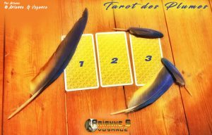 3 Cartes Pour Un Tirage Tarot Des Plumes