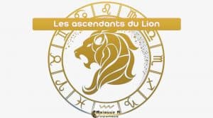 Les 12 Ascendants du Lion du Zodiaque