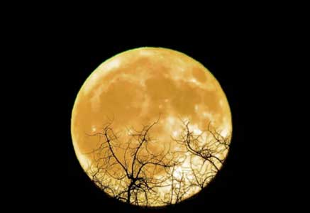 27 novembre : Lune du Castor en Gémeaux