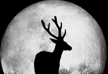 28 octobre : Lune du chasseur en Taureau