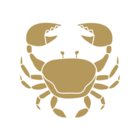 Image D'Illustration : Cancer Gold 300X300 1 | Pour Le Site Du Cabinet Arianne G Voyance