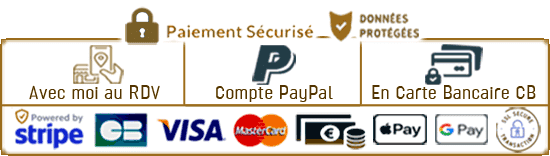 Logo 3 Modes De Réglements Sécurisés Ssl 3D-Secure Par Stripe