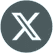 icone X Twitter